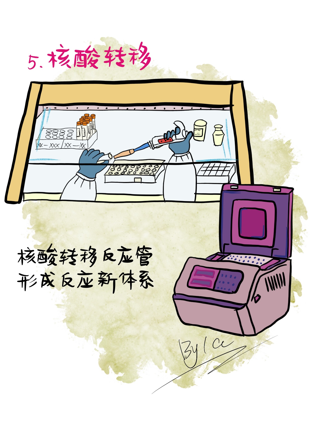 图片包含 文本描述已自动生成