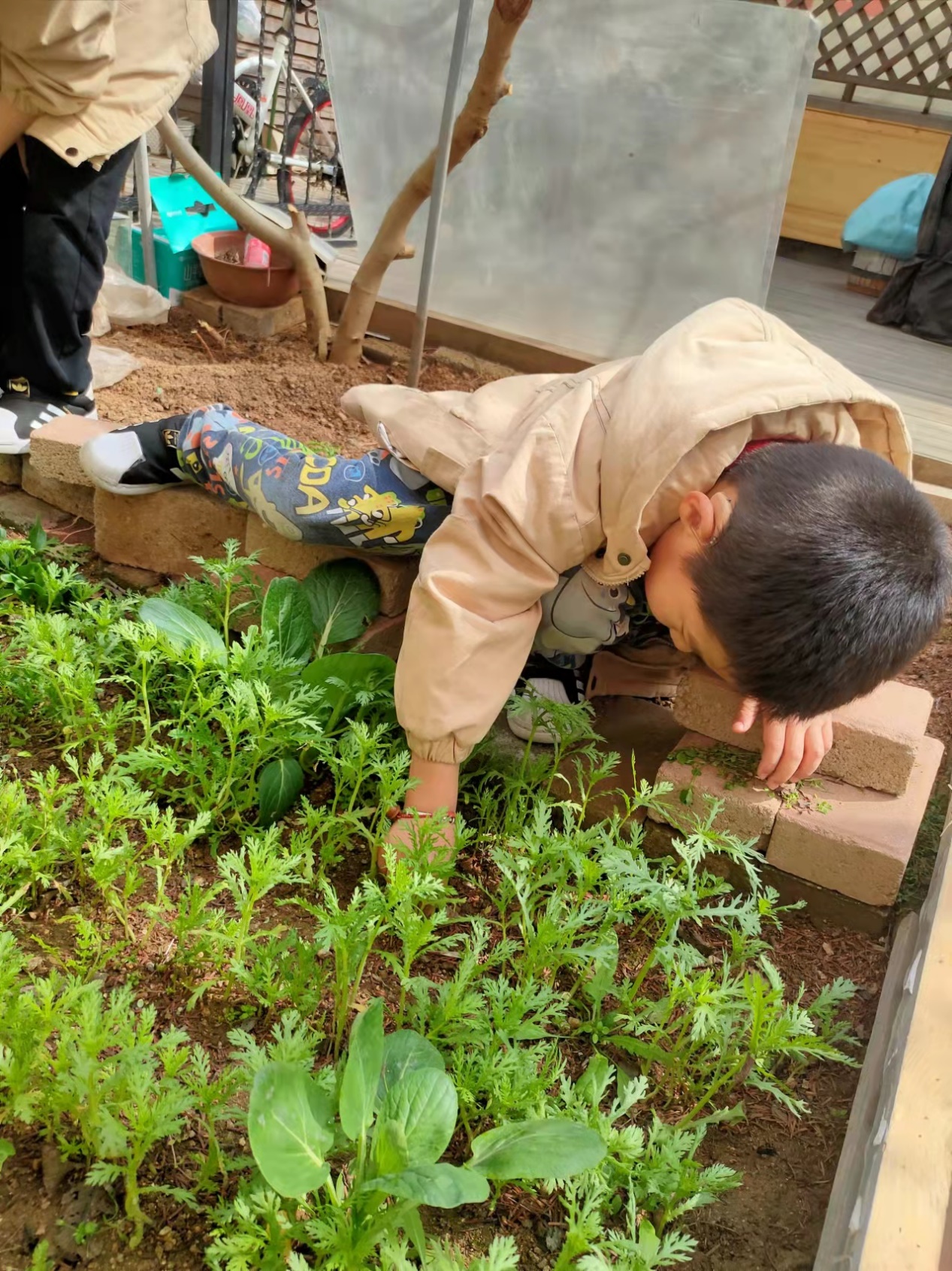 小孩躺在地上吃草低可信度描述已自动生成