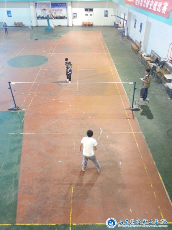 羽毛球精英赛.jpg